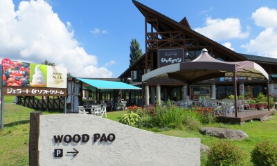 ＷＯＯＤ ＰＡＯ